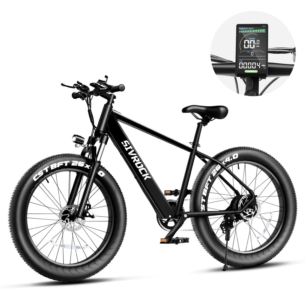 Professional 26" Fat Tire Electric Mountain Bike – 1000W 48V 15Ah E-Bike