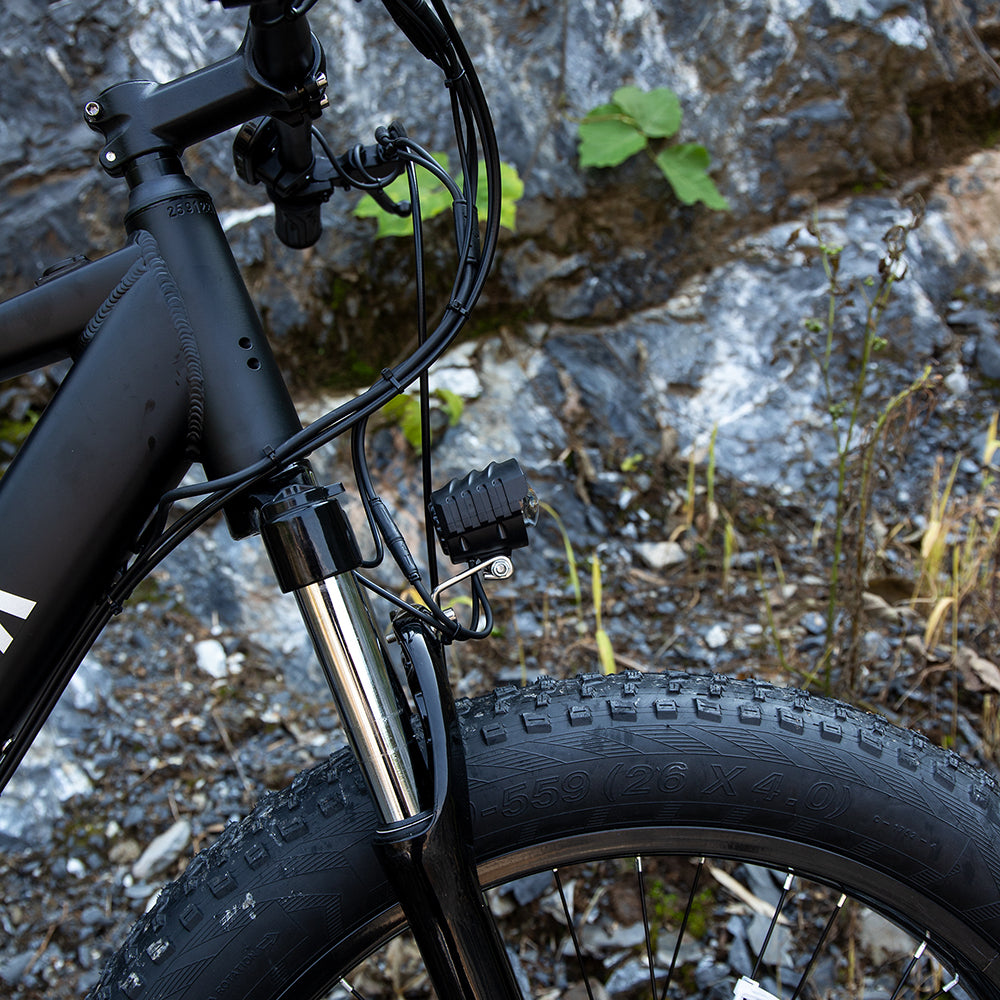 Professional 26" Fat Tire Electric Mountain Bike – 1000W 48V 15Ah E-Bike