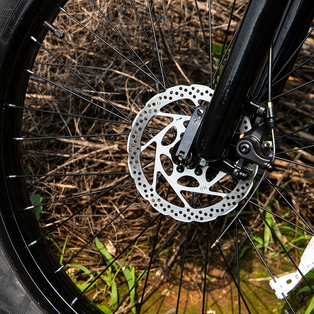 Professional 26" Fat Tire Electric Mountain Bike – 1000W 48V 15Ah E-Bike