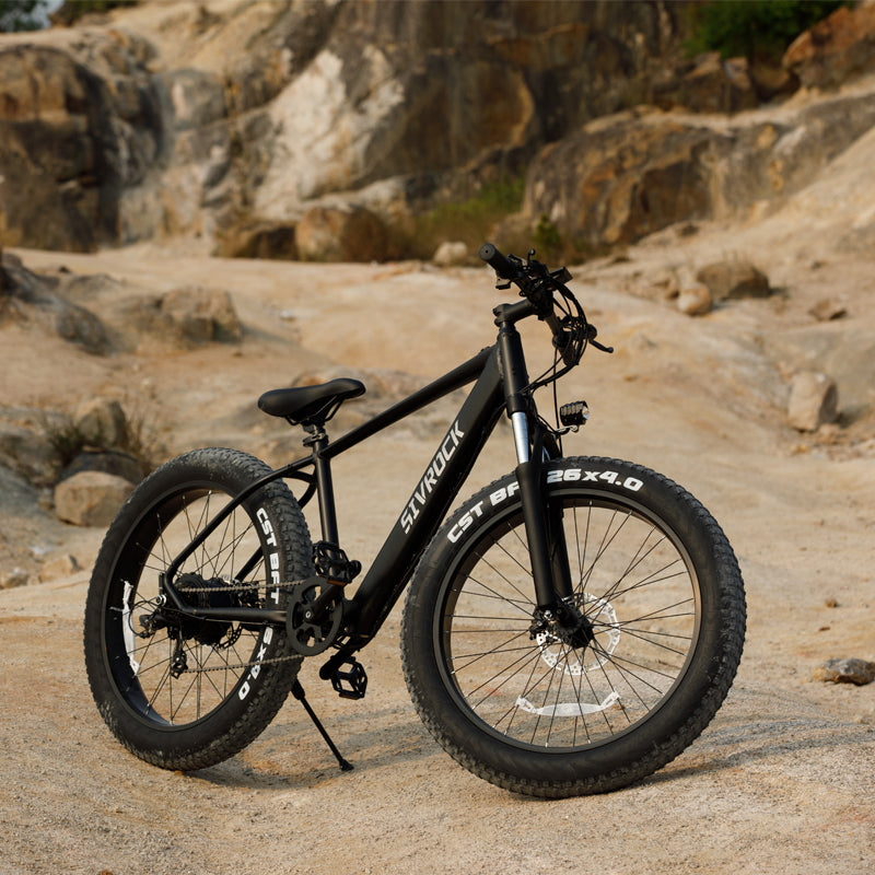 Professional 26" Fat Tire Electric Mountain Bike – 1000W 48V 15Ah E-Bike