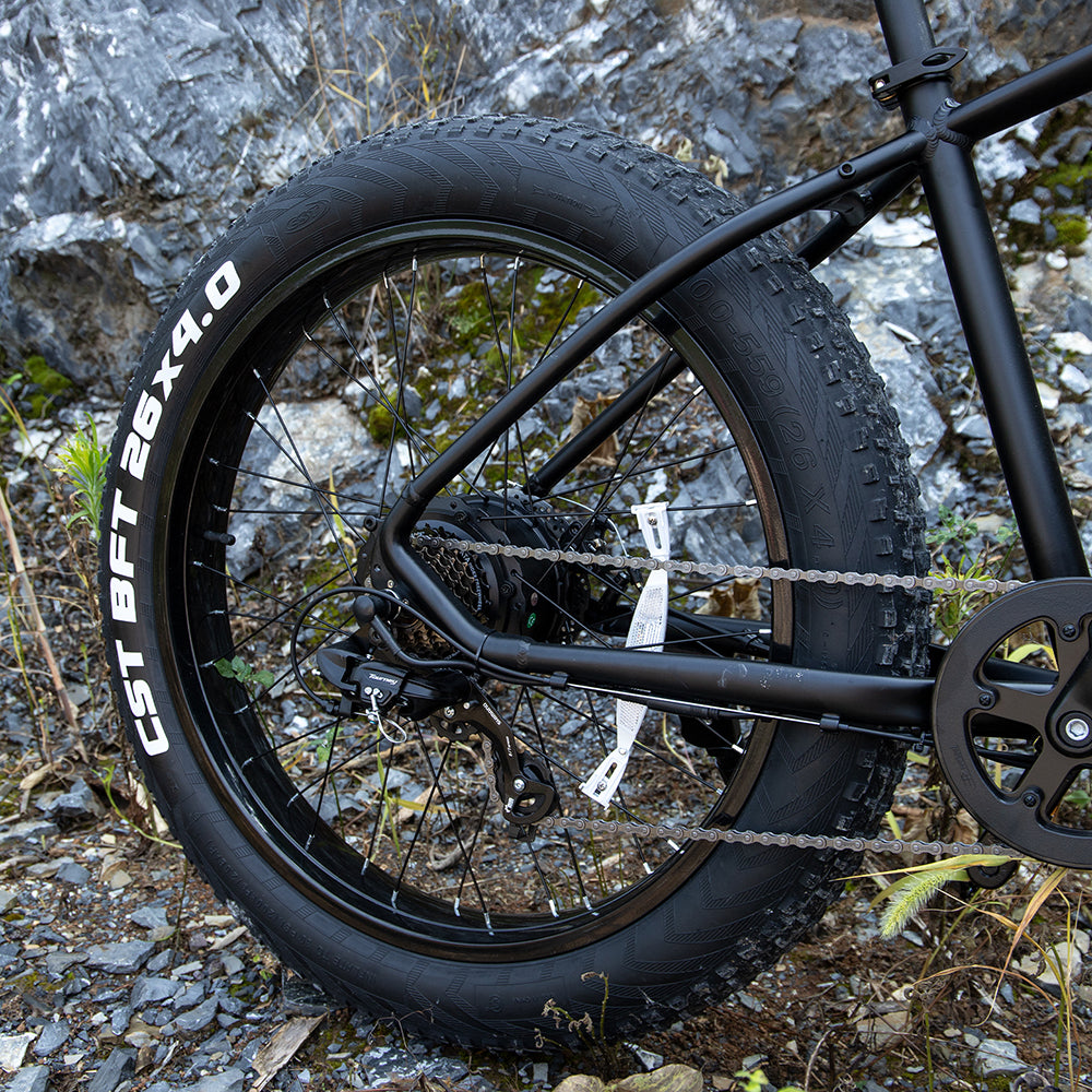Professional 26" Fat Tire Electric Mountain Bike – 1000W 48V 15Ah E-Bike